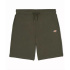 Calças Dickies Mapleton Militar Homem