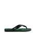 Chinelos Havaianas Brasil Fresh Homem Black/Black/Leaf Verde