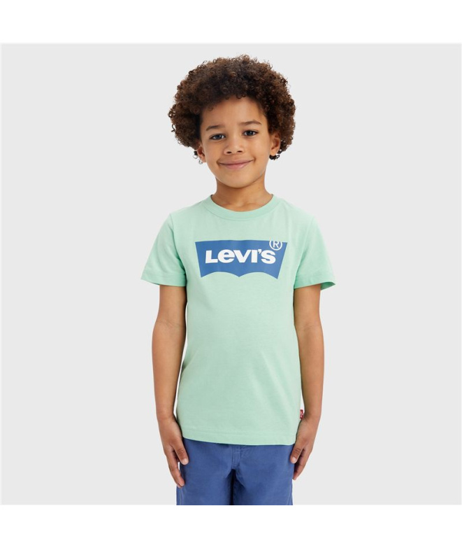 Camiseta Levi's Batwing Meadow Menino