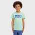 Camiseta Levi's Batwing Meadow Menino