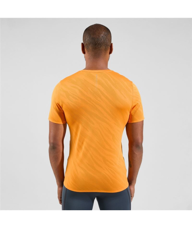 Camiseta de Trail Odlo Neck S/S Zeroweight...