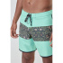 Maillot de Plage et Piscine Picture Andy 17 Homme imprimé