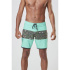 Maillot de Plage et Piscine Picture Andy 17 Homme imprimé