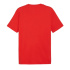 Camiseta Puma GRAPHICS Summer por For All Time Homem