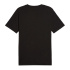 T-shirt Puma GRAPHICS Mountain Noir Homme
