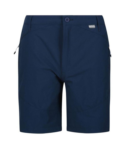 Pantalons de Montagne Regatta Highton Mid Blue Wing Homme