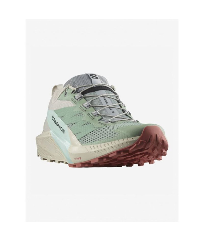 Sapatilhas de Trail Salomon Sense Ride 5...