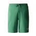Pantalons cortos The North Face Graphic Light Deep Grass Homme
