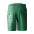 Pantalons cortos The North Face Graphic Light Deep Grass Homme
