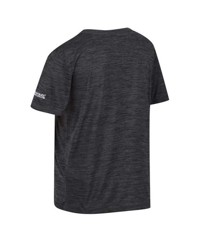 Camiseta de Montanha Regatta Alvarado VII...