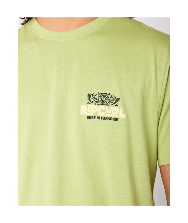 Camiseta  Rip Curl Casual Paradise F&B Homem Khaki