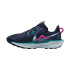 Chaussures de Trail Nike Pegasus 5 Homme Bleu