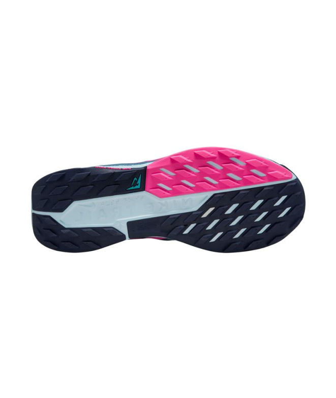 Chaussures de Trail Nike Pegasus 5 Homme Bleu