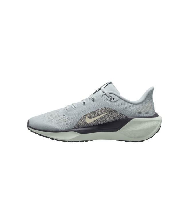 Chaussures Running sur route Nike Pegasus 41...