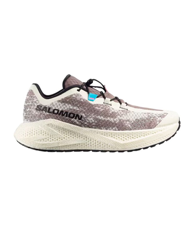 Zapatillas de Running Salomon Aero Glide 4 Grvl...