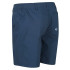 Mountain Trousers Regatta Regatta Highton Man