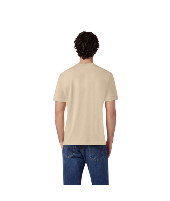 Camiseta masculina Champion Homem curta, marrom