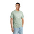 T-shirt Homme Champion pour homme, vert