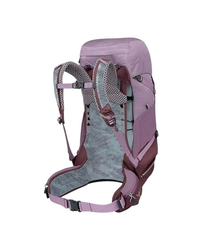 Sac à dos Osprey Sirrus 36 Purple Dusk Montagne
