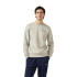 Sudadera Champion Icons Contrast Hombre Perla