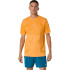 Camiseta Running ASICS Road Seamless SS Top Homem