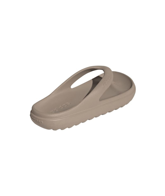 Tongs tongs adidas Adilette Lumia marron