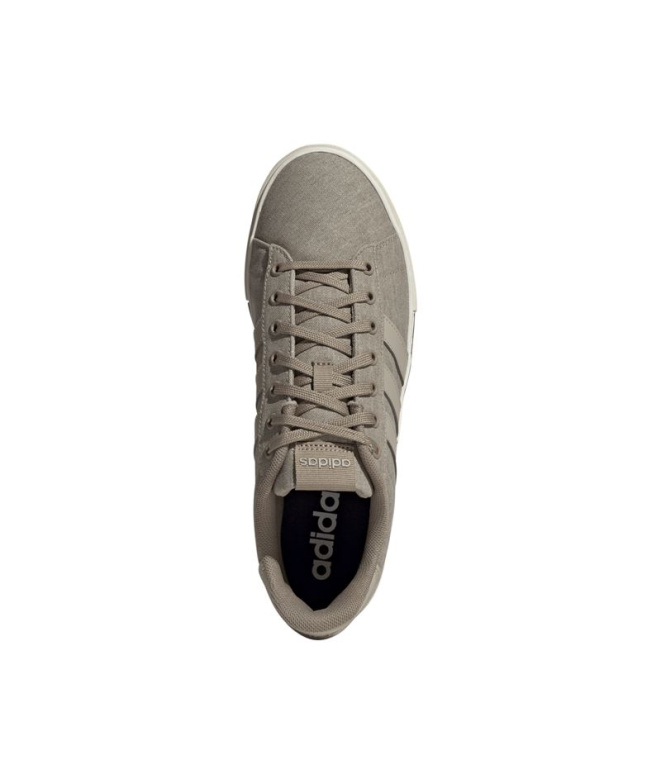 adidas Daily 4.0 Carpal/Beimar/ Chaussures