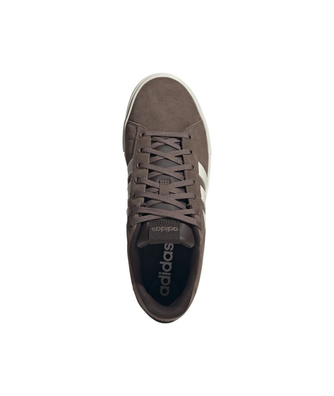 Chaussures adidas Daily 4.0 /Blanc/Marron
