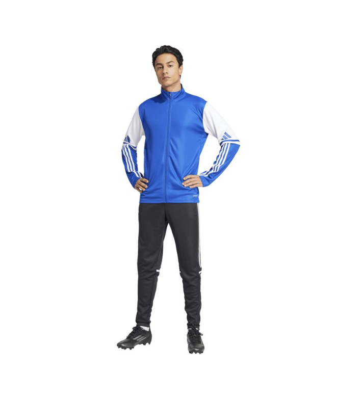 Casaco Futebol Homem adidas Squadra25 TR...