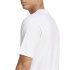 Camiseta branca Homem adidas Collegiate