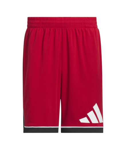 Pantalones de Baloncesto adidas Bos Hombre Granate/Negro