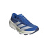 Chaussures Trail adidas Terrex Agravic TT Homme bleu/gris