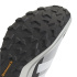 Chaussures Trail adidas Terrex Agravic GTX Homme , gris/blanc/noir