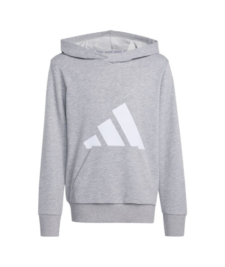 Sudadera adidas Bl Ft Hd 280 Infantil Gris