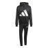 Survêtement adidas Big Logo Ft HD Ts Homme , noir/blanc