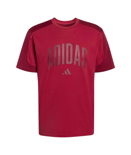 Camiseta Homem adidas Collegiate Maract/Buruni