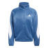 Veste adidas Stadium TT Homme coloris pétrole foncé/blanc/bleu