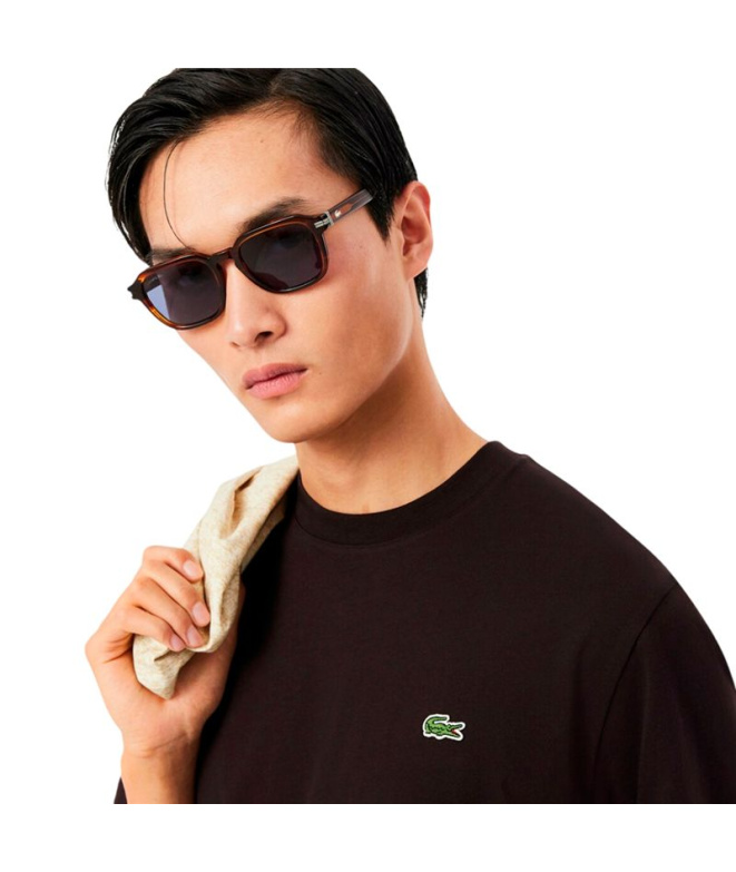 T- T-shirt Lacoste Homme
