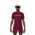 Camiseta de Trail Nnormal Race T-shirt 02 Burgundy Hombre