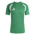 T-shirt Football Homme adidas Tiro26L Jsy vert/blanc