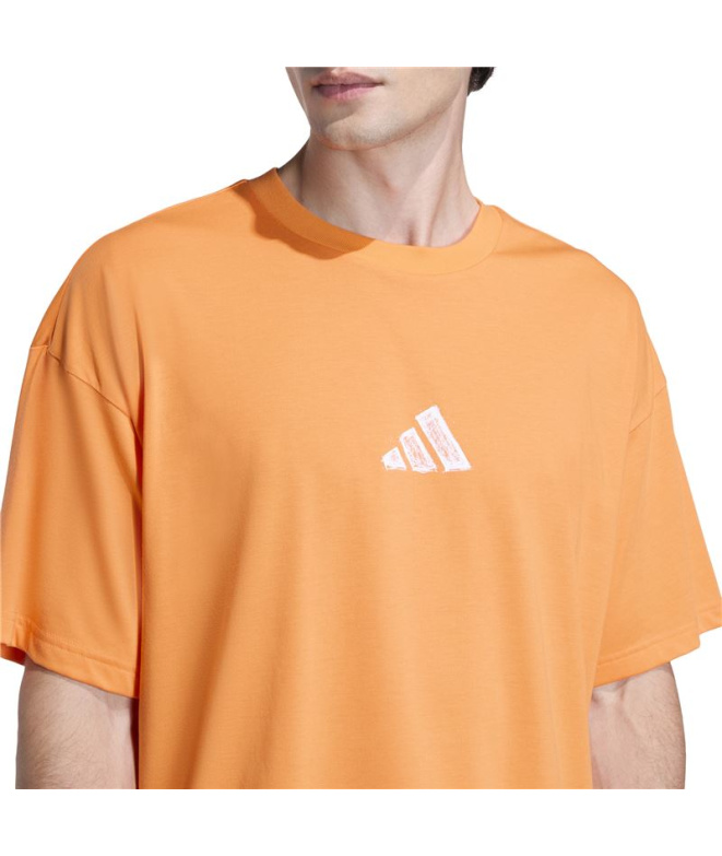 T-shirt adidas Graphic Climacool Power Fitness...