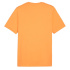 Camiseta Puma Graphics Mountain e Clementine Hombre Naranja