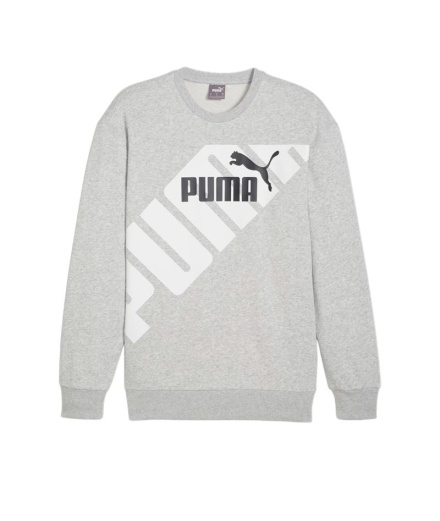 Sudadera Puma POWER Graphic C Light Gris Hombre