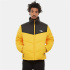 Veste montagne The North Face Saikuru noire Homme