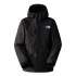 Ski et Snowboard The North Face Freedom Insulated Veste Homme