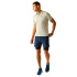Polo Homem Regatta Remex II Abbeystone Montanha