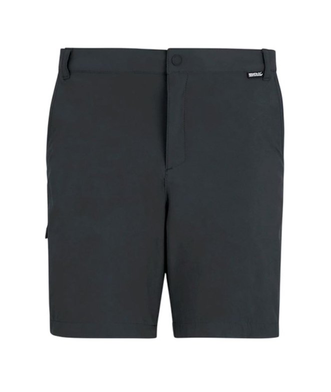 Calça Montanha Homem Regatta A-Insttvlltshts Ash