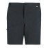 Pantalon Montagne Regatta A-Insttvlltshts Ash Homme