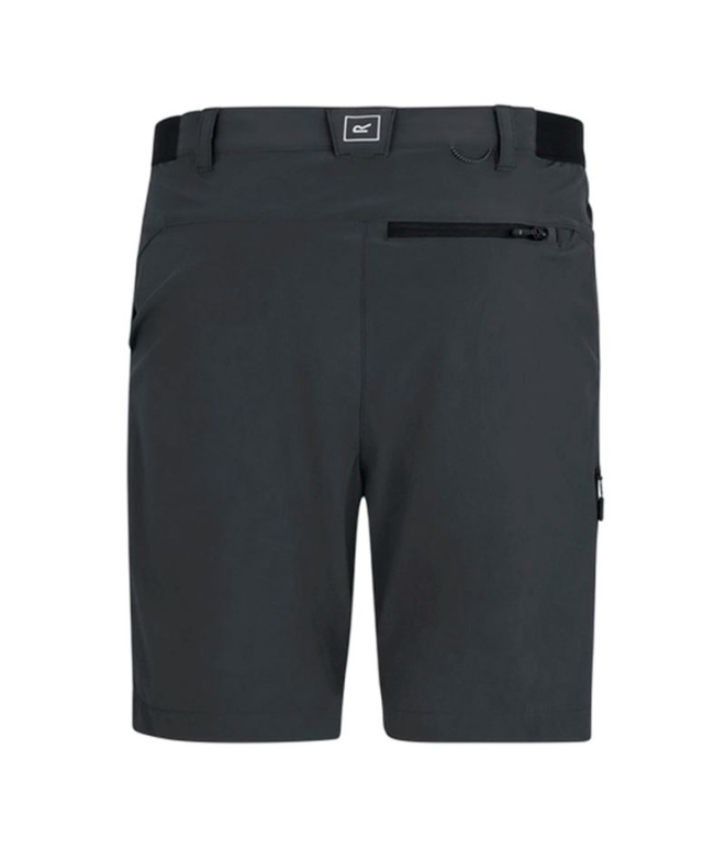 Calça Montanha Homem Regatta A-Insttvlltshts Ash