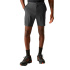 Pantalon Montagne Regatta A-Insttvlltshts Ash Homme